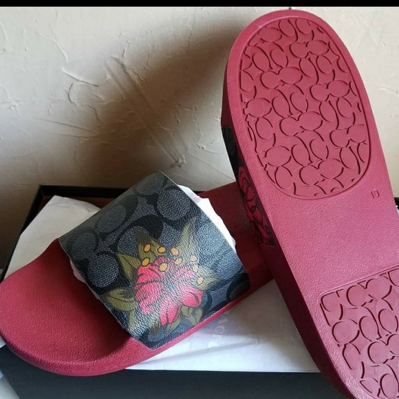 Coach slides - Picture 1 of 1